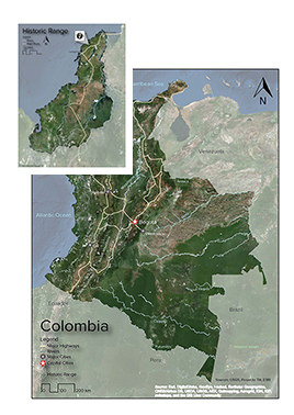 Cotton-top Tamarin Distribution Map